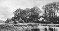 20 The Rookery, Hermitage near Brook Meadow. Date unknown